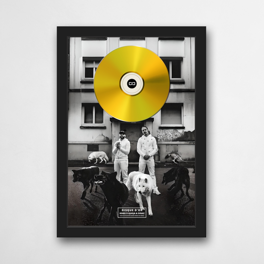 Disque d'or Djadja & Dinaz - Drôle de mentalité | Rapcertif