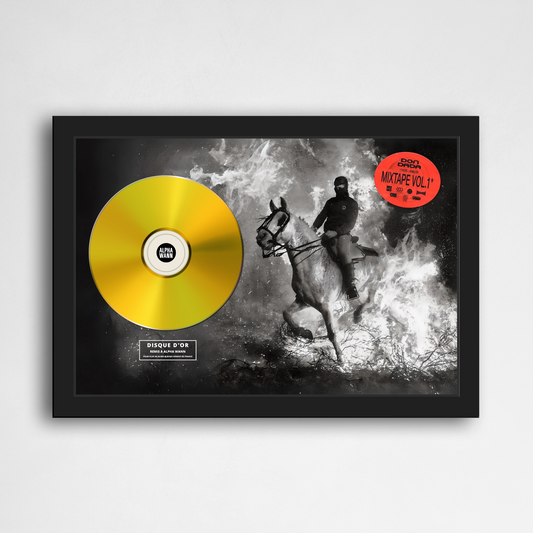 Disque d'or Alpha Wann - Don Dada Mixtape Vol. 1 | Rapcertif